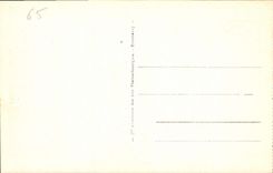 CPA Lourdes La Basilique et la Vierge couronnee 