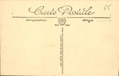 CPA Lourdes La Basilique et le Calvaire Breton 