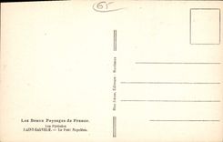 CPA Les Beaux Paysage de France les Pyrenees Saint Sauveur le Pont Napoleon 