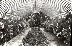 CPM Domaine de Prafrance par Generargues Gard Telephone Anduze l'Interieur de la Grande Serre 