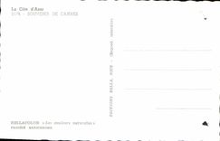 CPA La Cote d'Azur Souvenir de Cannes 