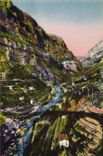 CPA Les Gorges du Loup A M entree des Gorges Plantations d'Orangers 