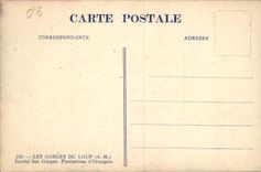 CPA Les Gorges du Loup A M entree des Gorges Plantations d'Orangers 