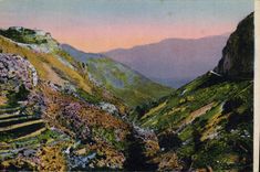 CPA Les Gorges du Loup A M le Village de Gourdon et la Route de Grasse 