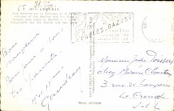 CPA Lourdes vue aerienne sur la Basilique et le Gave 