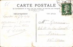 CPA Lourdes la Basilique vue du Chateau 