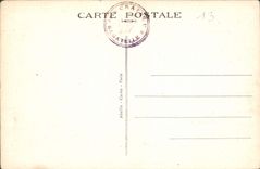 CPA Bagatelle Le Chateau L'Entree 