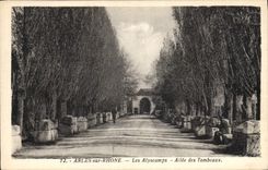 CPA Arles sur Rhone Les Alyscamps Allee des Tombeaux 