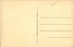 CPA Bagneres de Bigorre Panorama sur la Ville la Vallee et le Pic du Midi 