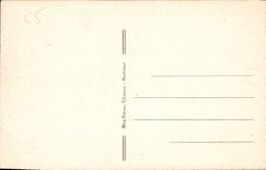 CPA Les Pyrenees Route de Pierrefitte a Cauterets 