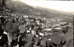 CPA Monte Carlo Vue generale 