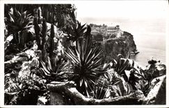 CPA Monaco Les jardins Exotique 
