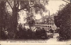 CPA Menton La Vieille Ville a travers les Oliviers 