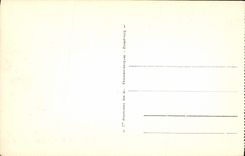 CPA Nice Vue prise du Mont Boron 