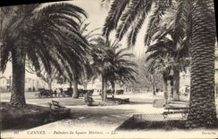 CPA Cannes Palmiers du Square Merimee 