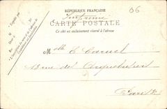 CPA Nice Allee des Palmiers au Chateau 