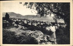 CPA Cote d'Azur Atristique Nice entre les fleurs et les oliviers 