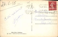 CPA Cote d'Azur Atristique Nice entre les fleurs et les oliviers 