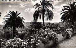 CPA Cote d'Azur Sa vegetation exotique au fond la Mediterranee Parfumerie Honore Payan Visite de l'U