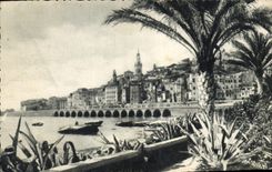 CPA Menton les Palmiers 