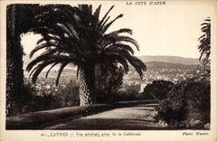 CPA La Cote d'Azur Cannes vue generale prise de la Californie 