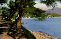 CPA Menton la Promenade du Cap Martin 