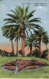 CPA Nice Jardin Albert Ier 
