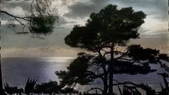 CPA Cote d'Azur Coucher de Soleil 