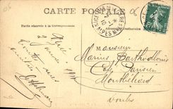 CPA Nice l'Allee des Palmiers au Chateau 