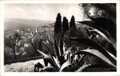CPA Grasse A M Cite des Fleurs ses plantes exotiques 