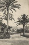 CPA Nice Palmiers nouveaux Jardins et Cassino 
