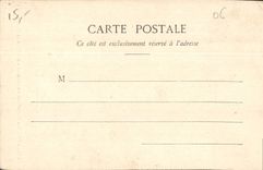 CPA Nice Palmiers nouveaux Jardins et Cassino 