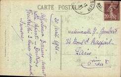 CPA Cannes Ile Sainte Marguerite la Grande Allee d'Eucalyptus 