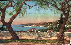 CPA Menton vue generale prise a travers les oliviers 