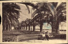 CPA Menton Allee de Palmiers a Garavan 