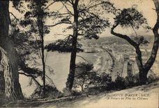 CPA Cote d'Azur Nice a travers les Pins du Chateau 