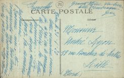 CPA Cote d'Azur Nice a travers les Pins du Chateau 