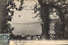 CPA Menton la Baie de Garavan 