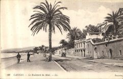 CPA Cannes le Boulevard du Midi 