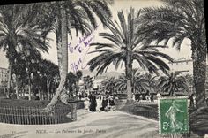 CPA Nice les Palmiers du Jardin Public 