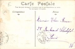 CPA Nice les Palmiers du Jardin Public 