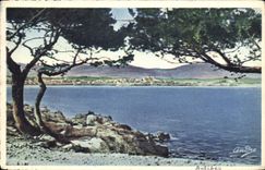 CPA Antibes vu du Cap 