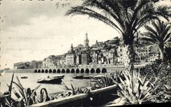 CPA Menton les Palmiers 