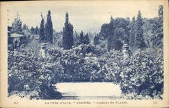 CPA La Cote d'Azur Cannes Jardins en Fleurs 