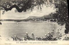 CPA Menton Vue prise entre les Fleurs Garavan 