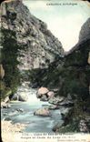 CPA Ligne du Sud de la France Gorges et Chute du Loup Alp Marit 