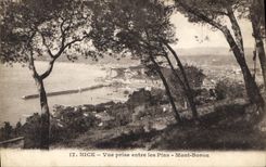 CPA Nice Vue prise entre les Pins Mont Boron 