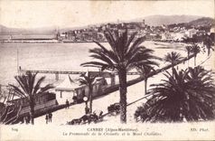 CPA Cannes Alpes Maritimes La Promenade de la Croisette et le Mont Chevalier 