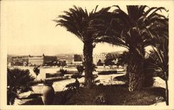 CPA Cannes Les grands Hotels de la Croisette vus du Jardin des Hesperides 