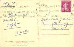 CPA Cannes Les grands Hotels de la Croisette vus du Jardin des Hesperides 